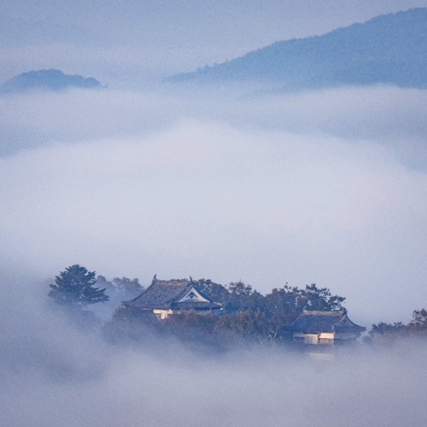 雲海に浮かぶ備中松山城