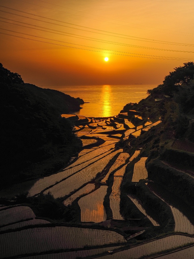 浜ノ浦の棚田