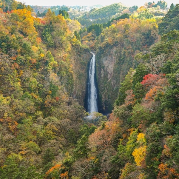 九重大吊り橋