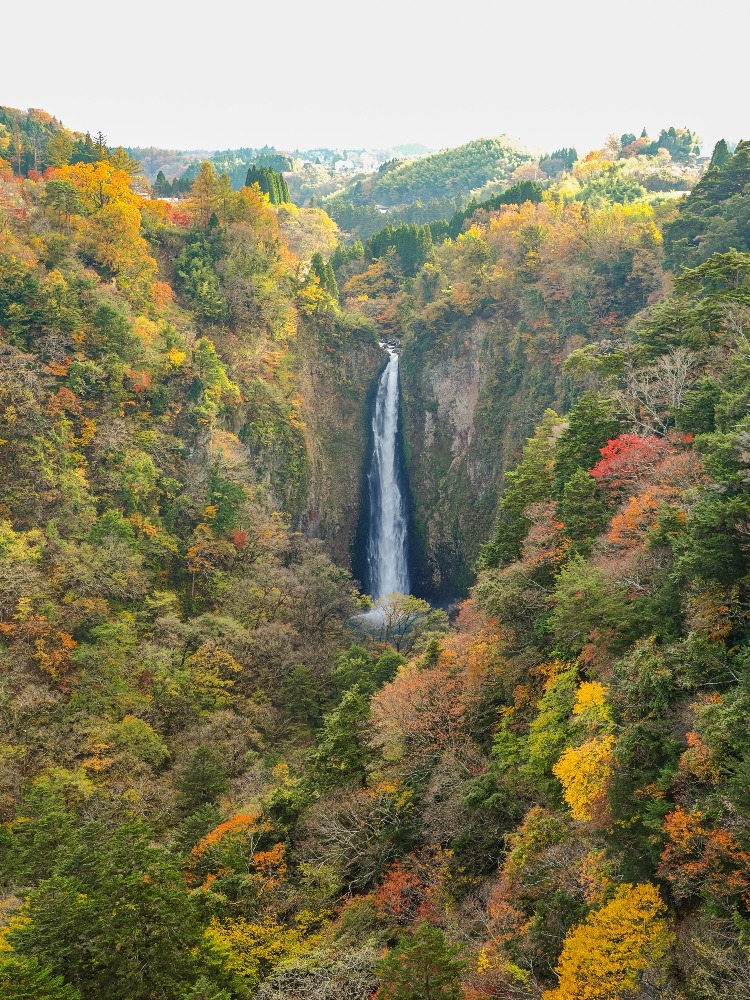 九重大吊り橋