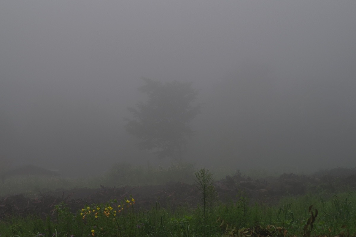 「霧の朝」