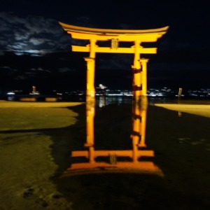 水面に出現した世界遺産