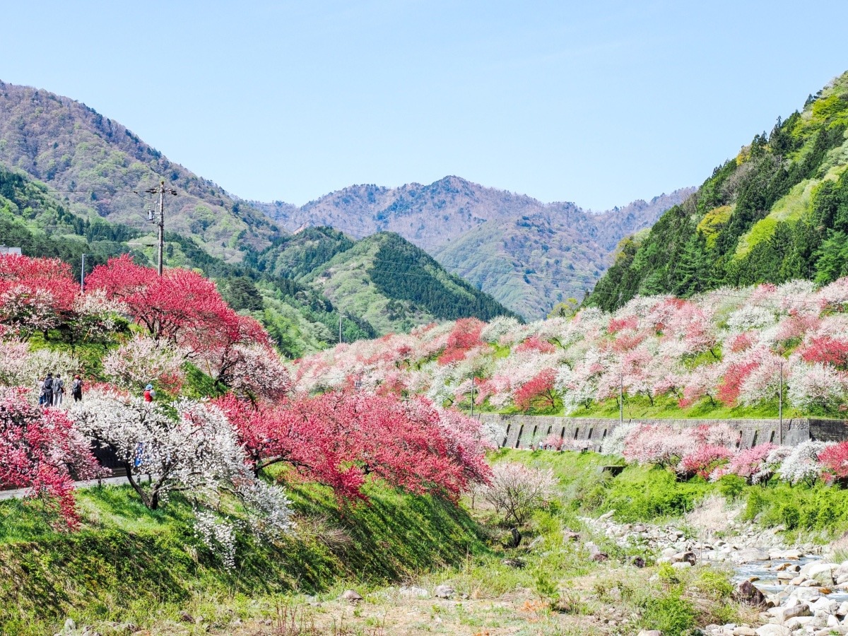 花桃の里