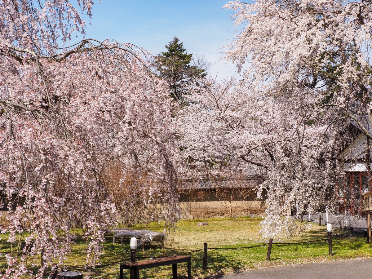 醍醐寺