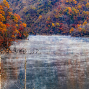 徳山ダム湖　紅葉　自然は生きてる