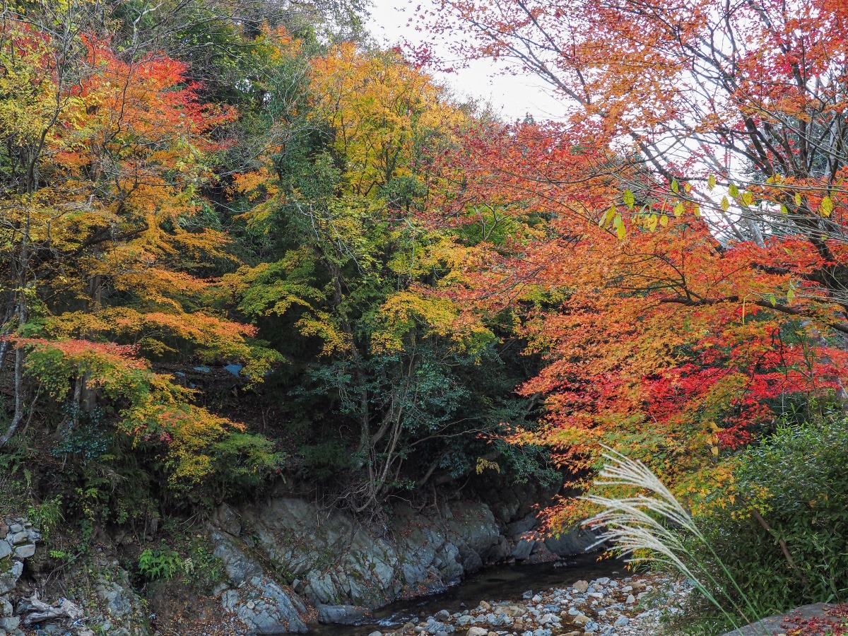 英彦山