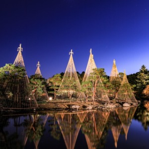 白鳥庭園雪吊りライトアップ