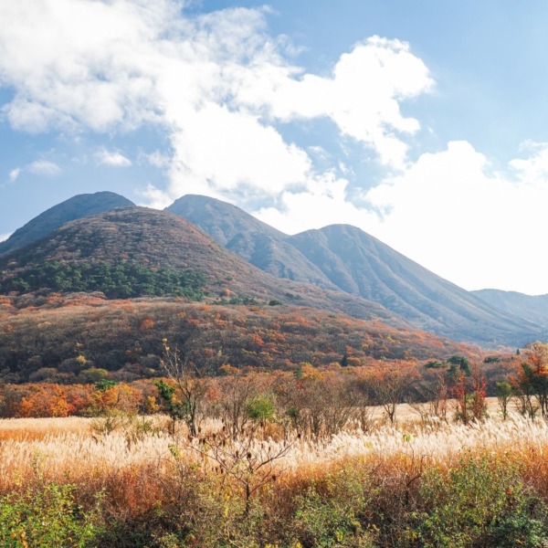 飯田高原