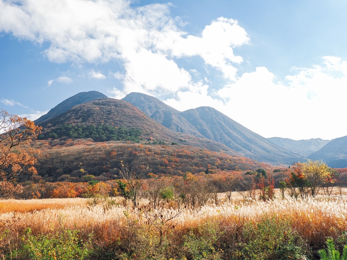 飯田高原