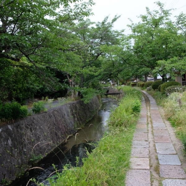 京都哲学の道