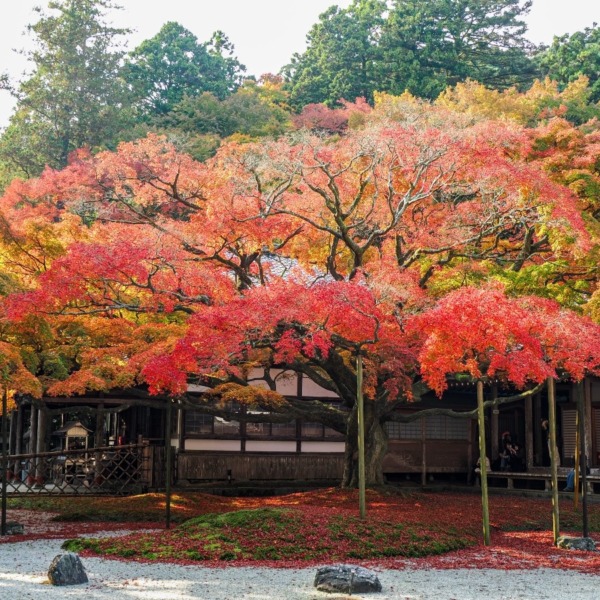 千如寺