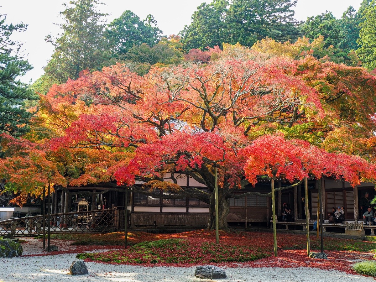 千如寺