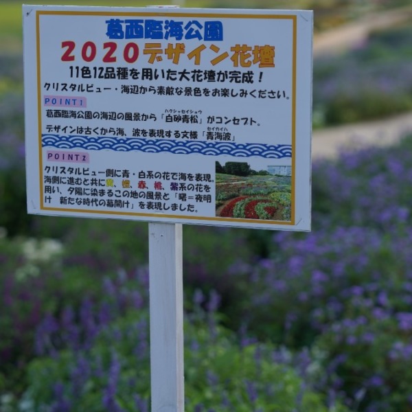 2020デザイン花壇💖:葛西臨海公園✨