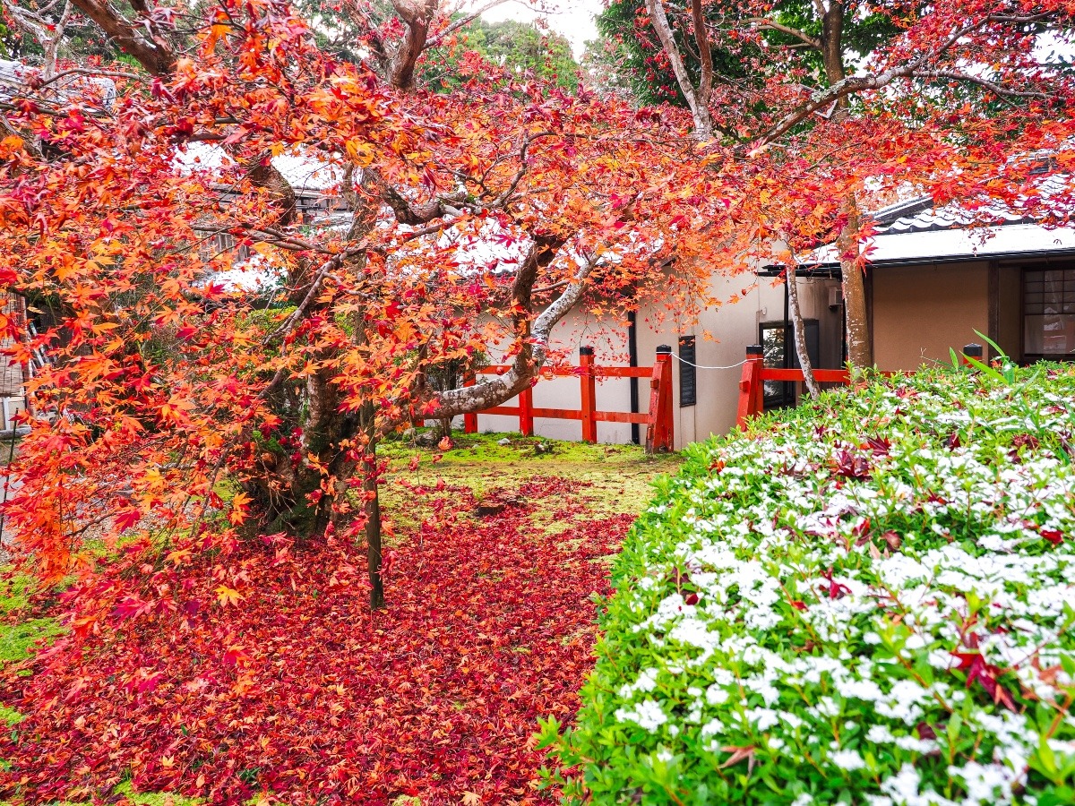 大原野神社