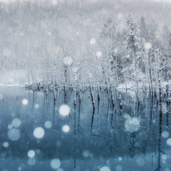 青い池の初雪