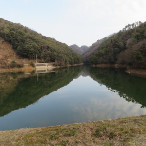杉谷の里山・水鏡の杉谷富士（杉谷ダム）