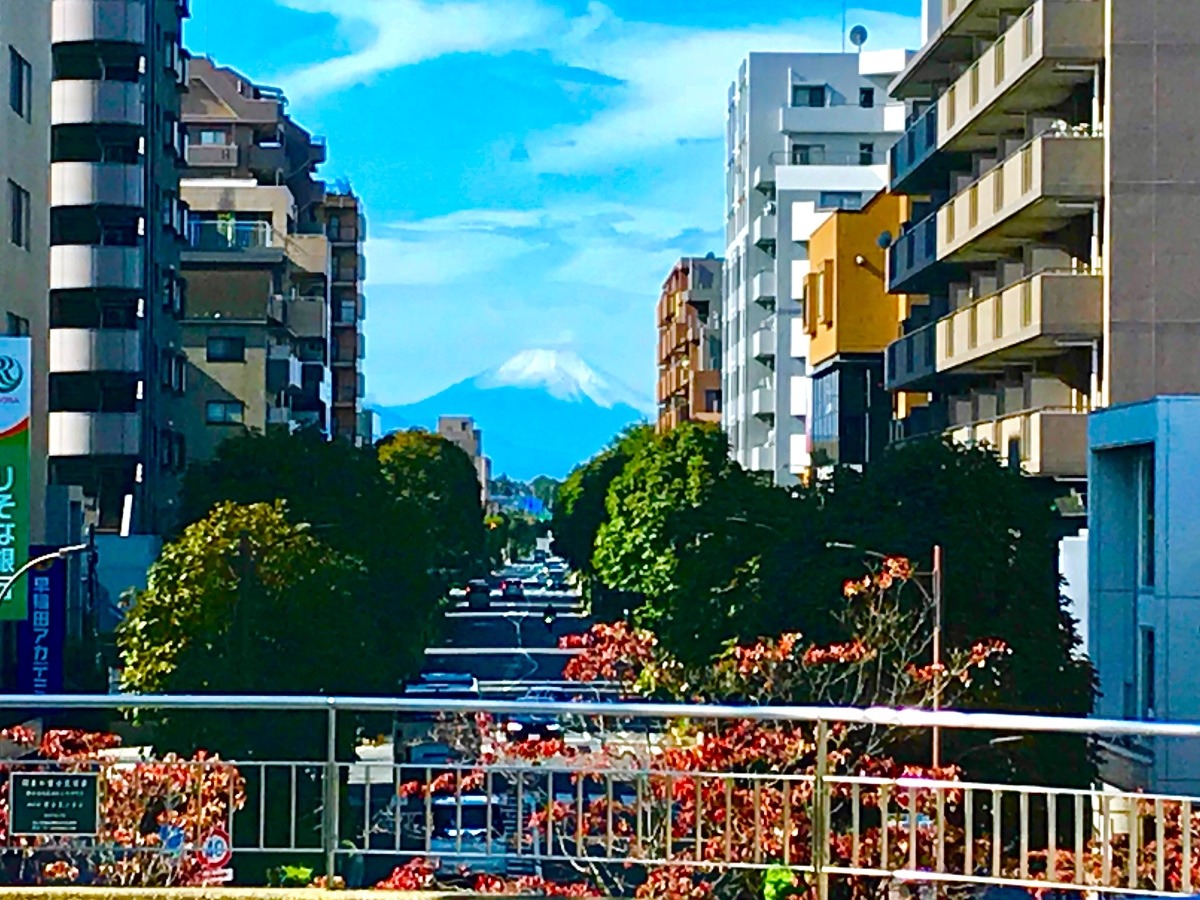 富士見テラス