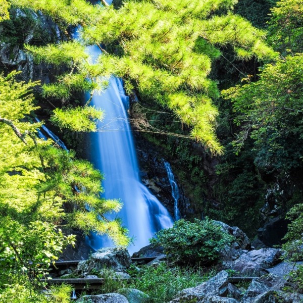 見返りの滝