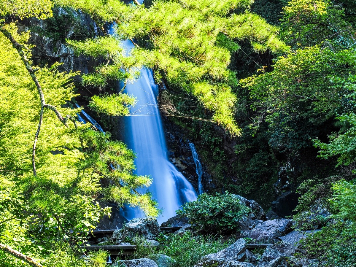 見返りの滝