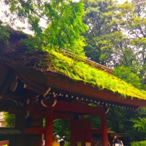 苔むす深大寺山門