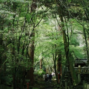 西山興隆寺(愛媛県西条市)