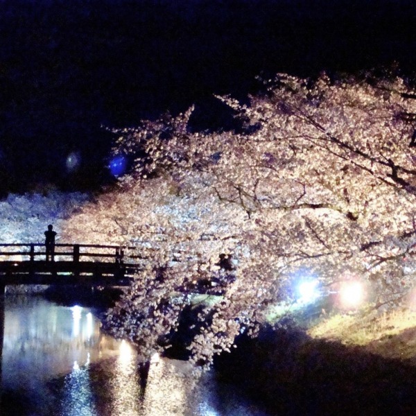 お堀と夜桜