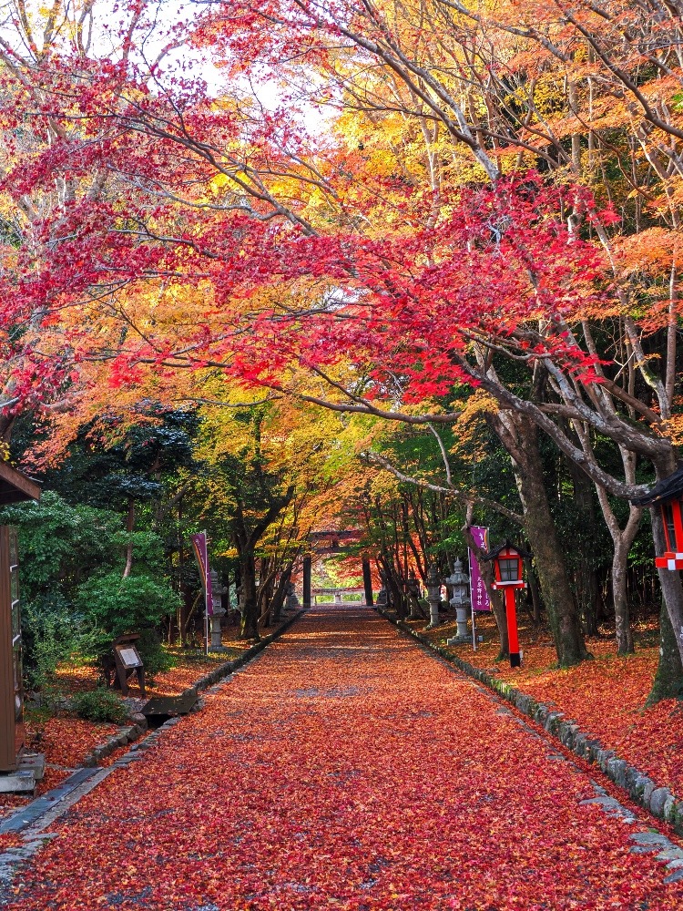大原野神社