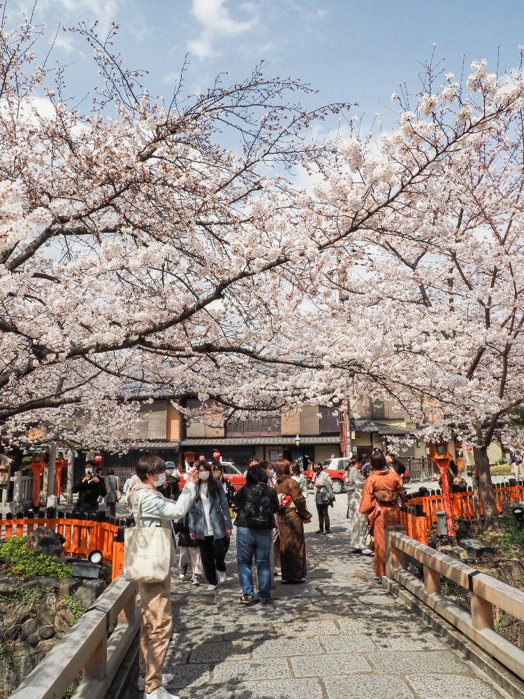 祇園白川