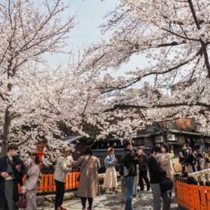 祇園白川