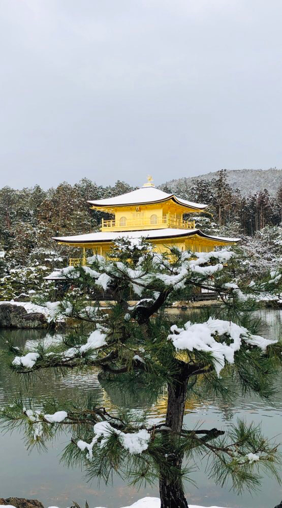 雪化粧の金閣寺
