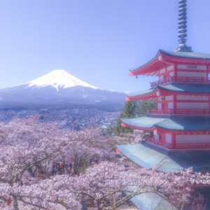 桜と富士山と五重塔