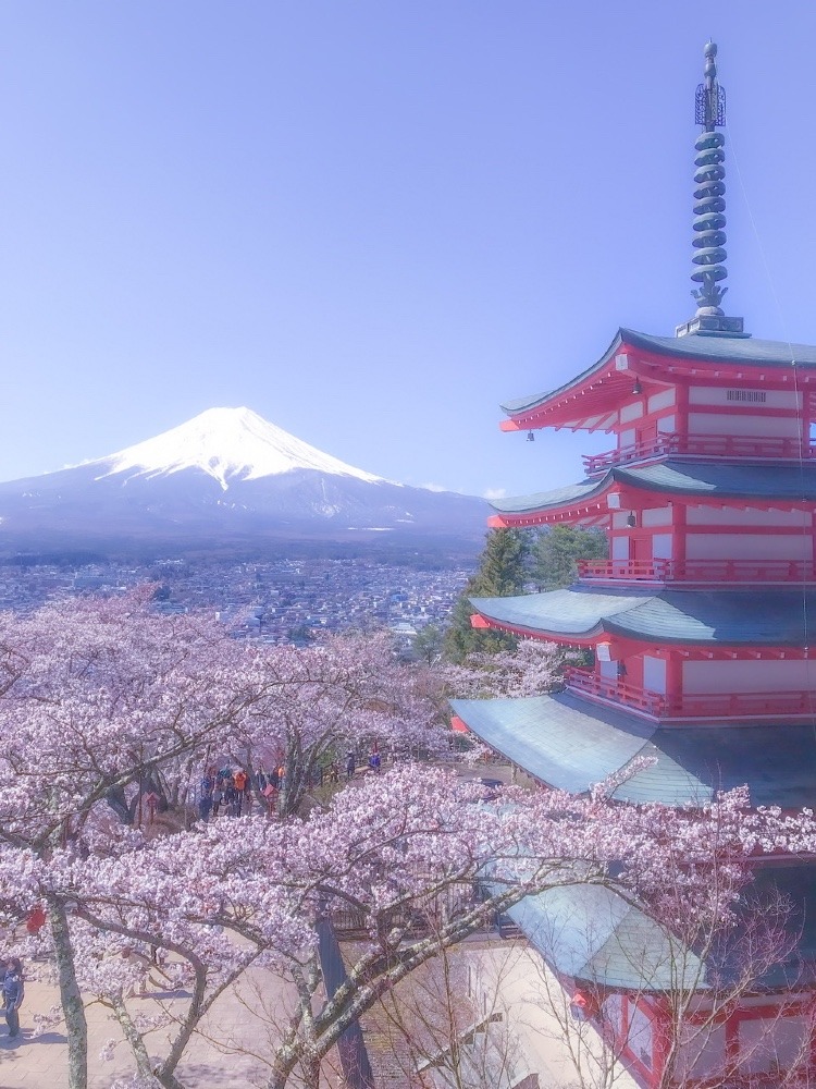 桜と富士山と五重塔