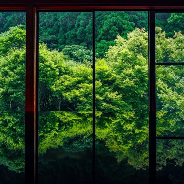 環境芸術の森