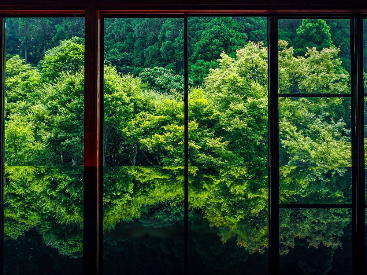 環境芸術の森
