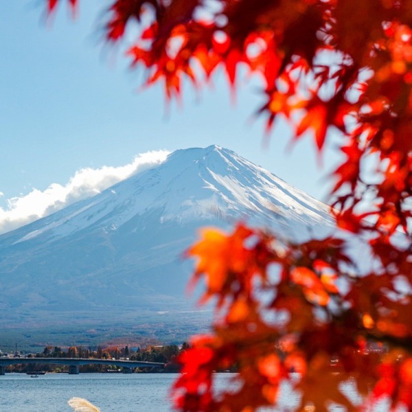 富士山