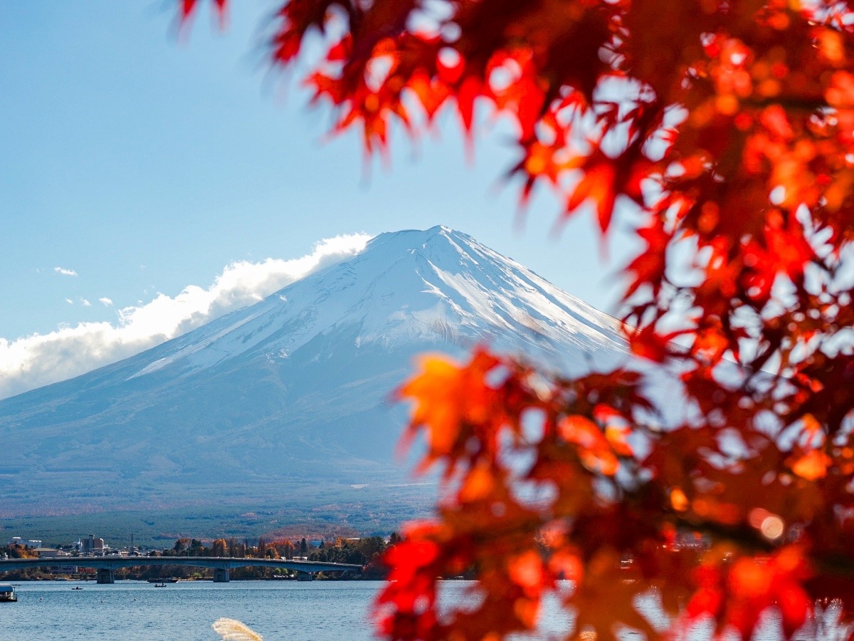 富士山