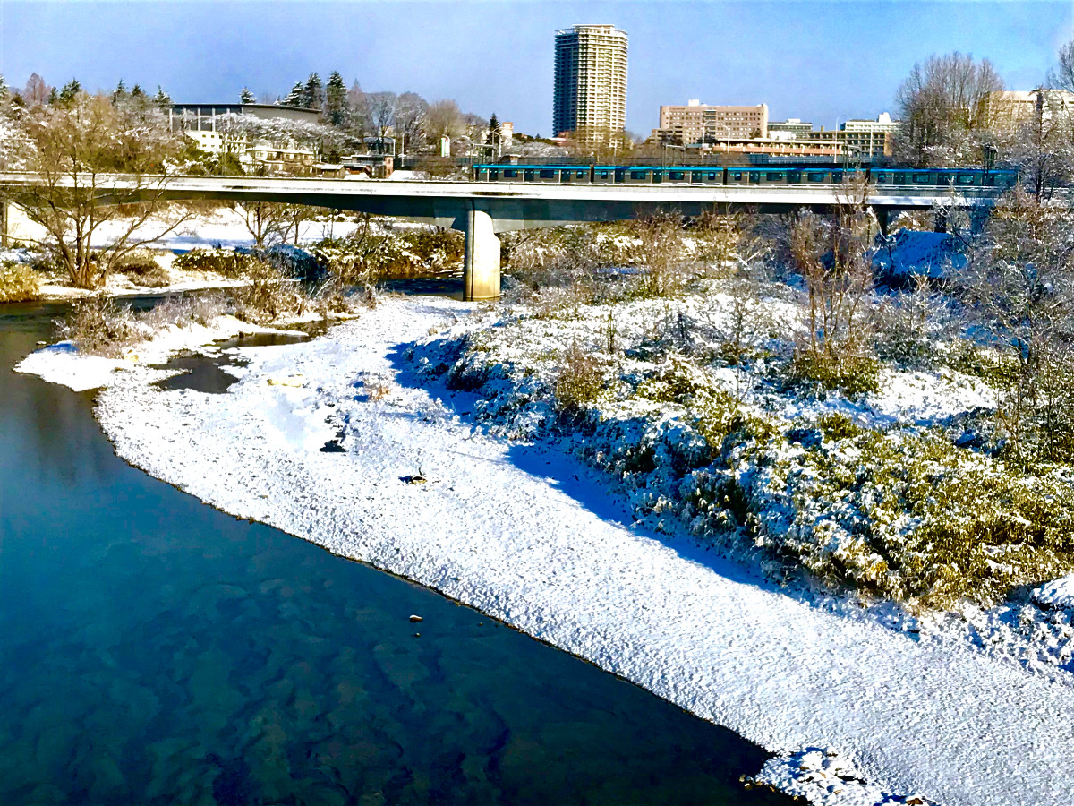 雪の広瀬川を渡る