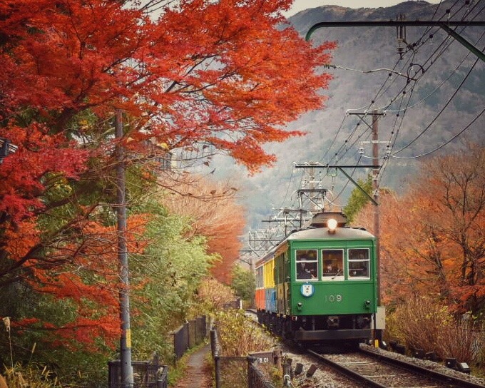 晩秋の箱根登山鉄道