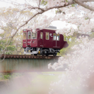 阪急電車と桜