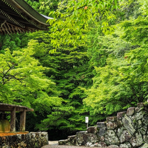 神護寺