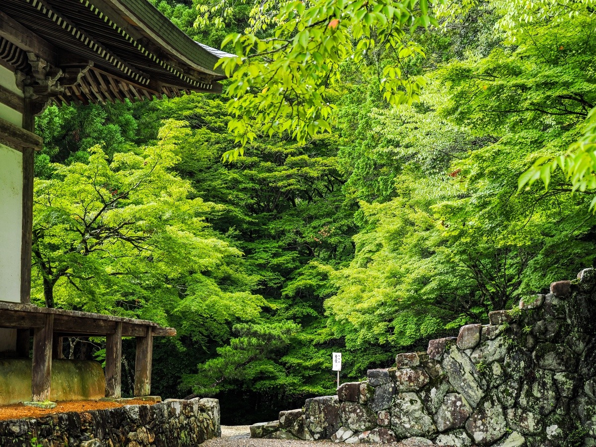 神護寺