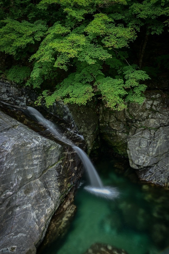 『Waterfall flowing down the rock』