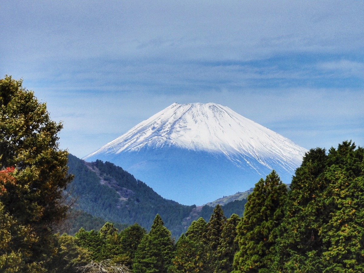 箱根園からの富士山